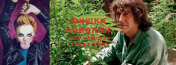 а пвп мука Пересвет