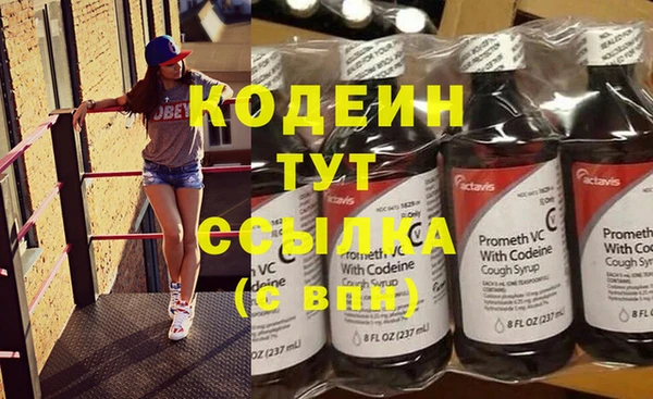 дживик Пестово
