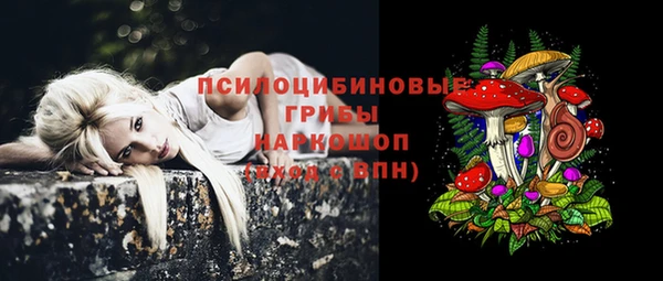 дживик Пестово