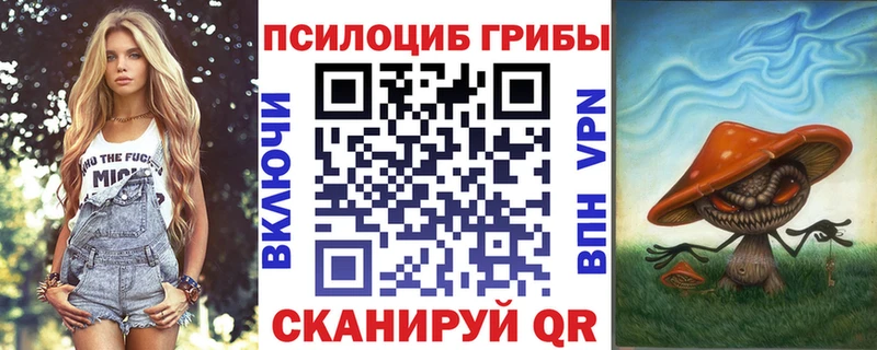 Псилоцибиновые грибы GOLDEN TEACHER Похвистнево