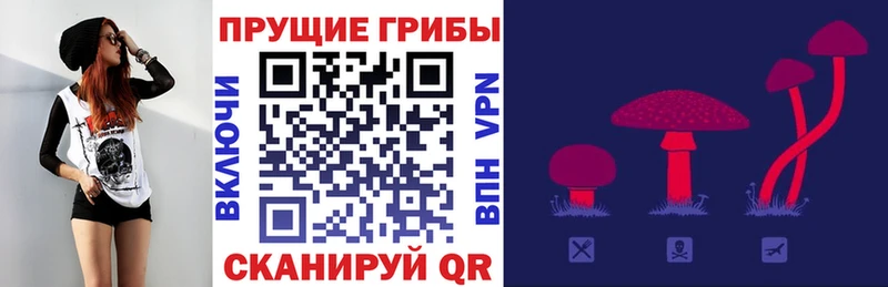 Галлюциногенные грибы Magic Shrooms  hydra вход  Похвистнево 