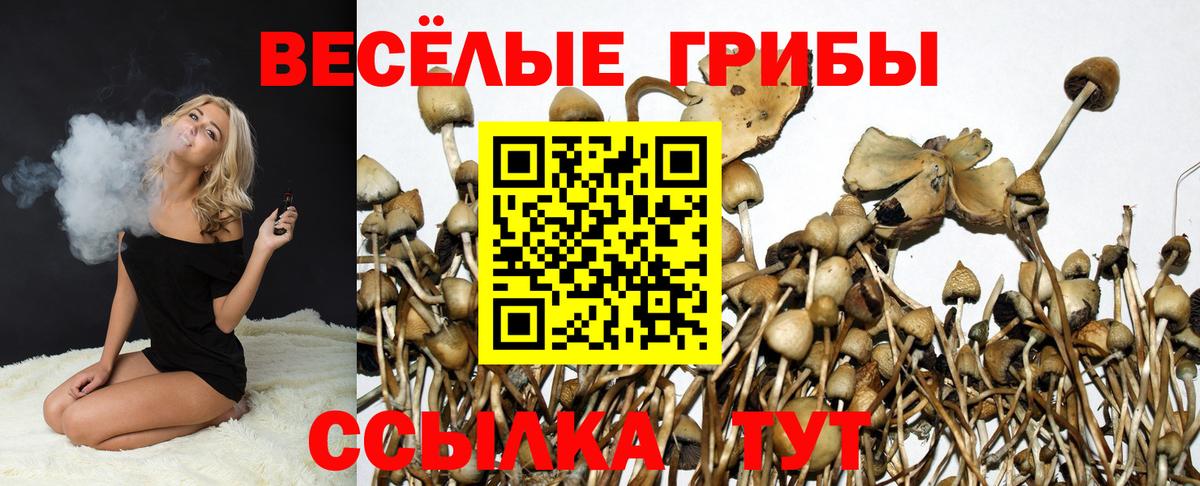 Похвистнево  где найти наркотики  Вход с VPN  Галлюциногенные грибы Psilocybe  Псилоцибиновые грибы GOLDEN TEACHER 